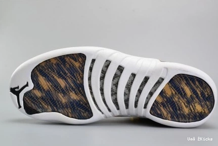 HighQuality 781 848692- 4163 12 Retro Jordan Wings 0709
